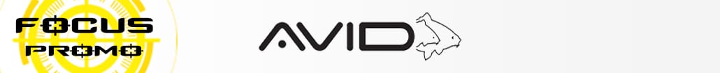 Focus Promo Avid