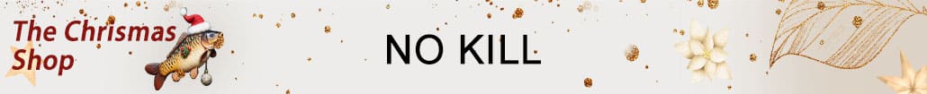 The Christmas shop No Kill