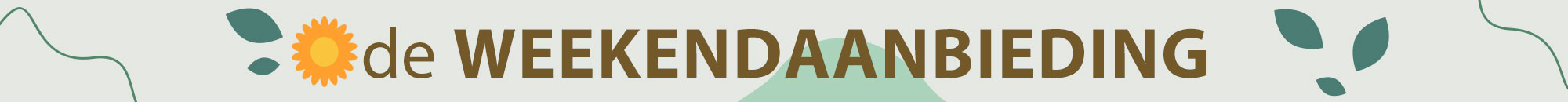 Weekendaanbiedingen