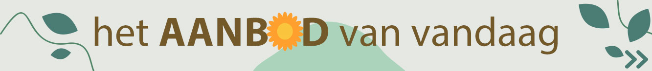 Aanbod van de dag