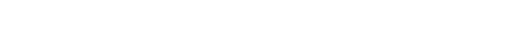 VF Vetements