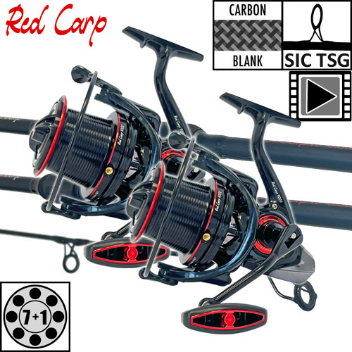 Ensemble Ccarp Red Carp 10' 9000 (les 2)