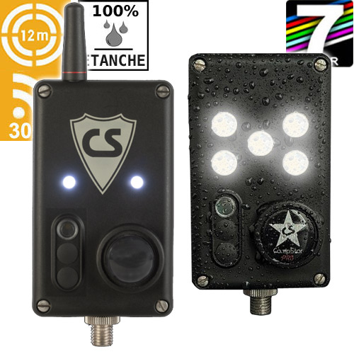 Détecteur Infrarouge + Lampe de Biwy Carpsounder Campsecure Campstar AGE PRO