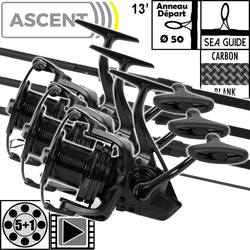 Ensemble Avid Carp Ascent 50mm 13' 3.5lbs Full Shrink Revolve 8000FD (les 3)