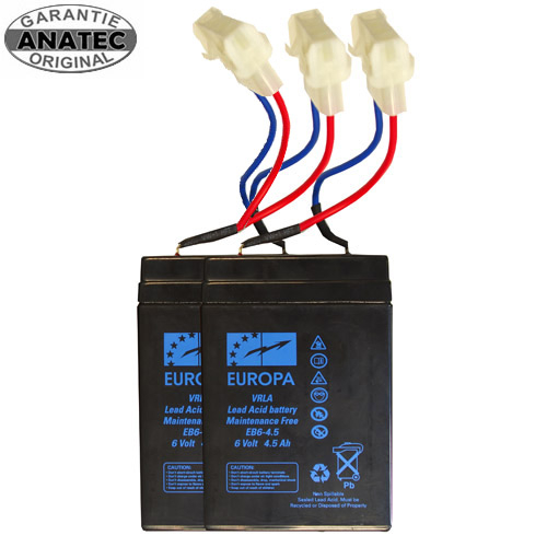 Anatec Pac Boat Batteries (quantity 2)