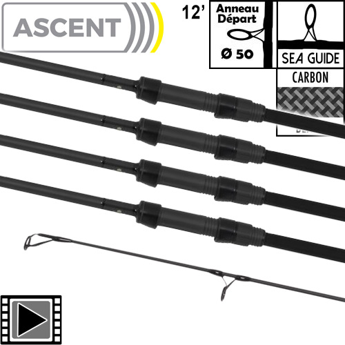 Canne Avid Carp Ascent 50mm 12' 3.5lbs Full Shrink (les 4)