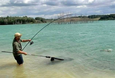 Shock Leader Pelzer Executive Noir 0.55mm 100m -Hameçons Soldes Boutique 014bf213f6de9a5d4be9b5e057ba876215a0e160 207347AMB2