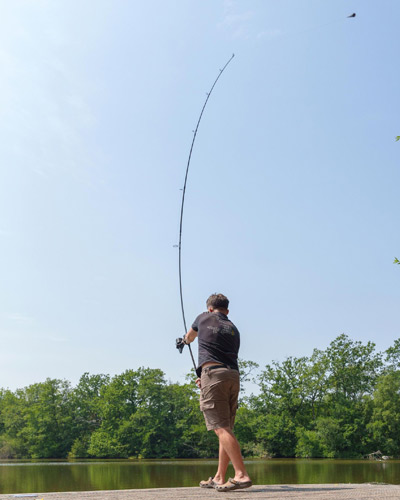 Canne Avid Carp Ascent 50mm 12' 3.5lbs Full Shrink - description 11