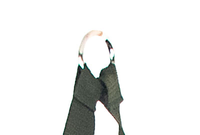 Sac