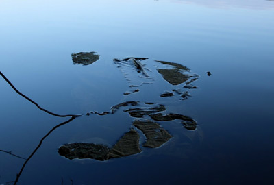 Sac à Carpe Prowess Initia Cord Carp Sack - description 03