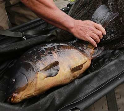 Trakker