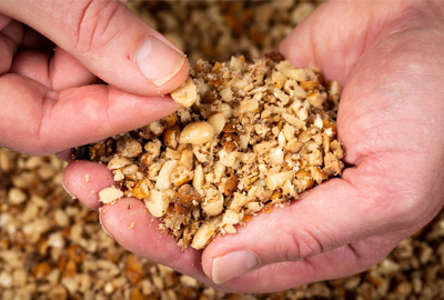 Graines Mainline Power Plus Particules Nut Crush 3kg 4 Graines Mainline Power Plus Particules Nut Crush 3kg -DYNAMITE BAITS 1ff286f81a0259bef6a9f7fd59253e84f7166e9a 243281amb4