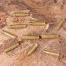 tetina-extra-carp-heli-beads-25mm-por-10
