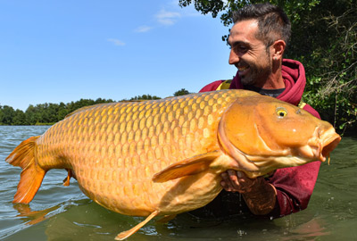 Bouillettes Starbaits Power Feedz Indian Hemp 20mm 1.8kg -DYNAMITE BAITS 22e598cc77ed69e76a2d188717a9e6c6667eb6fb 63945AMB1