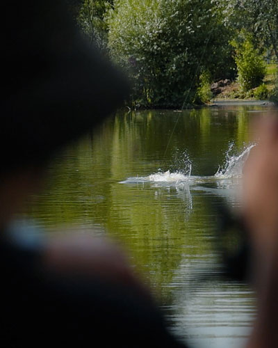 Canne Fox Horizon X4 S 12' Floater 2.25lbs Full Slim Shrink - description 16