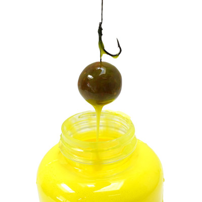 Pack Appâts Faith A-Prime Scopex Royale 20mm 5kg - description 06