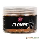 mainline-clones-maple-pop-ups-13mm-150ml