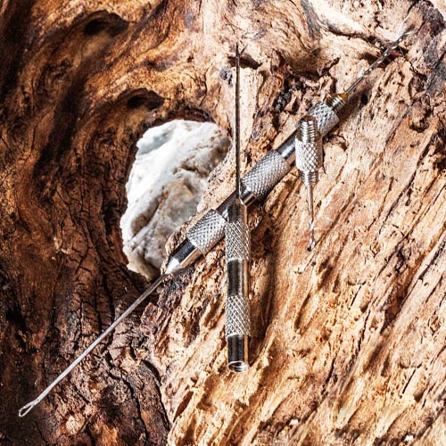 Jeu de Aiguille, Forets de pêche à la carpe, bouchons de bouillette