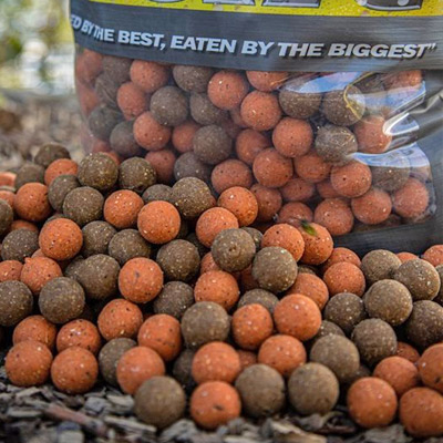 Bouillettes Solar Tunamino & E12 20mm 5kg 4 Bouillettes Solar Tunamino & E12 20mm 5kg -DYNAMITE BAITS 6032d657e59b9d28986a93b227dd8afbff46d0cf 243932AMB3