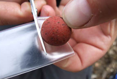 Gaine Anti Ecrevisse Gardner Hardball Bait Saver (par 3) -Moulinets soldes 62509c54b70d79c05026cc32d814bd7dd5432df5 amb01