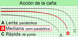 Conjunto Daiwa Black Widow XT 10' 3.5lbs BR LT 5000C (x4) - description 14