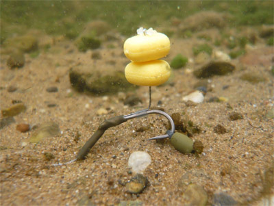 Gaine Thermo Rétractable Fox Edges Khaki S 1.8-0.7mm (par 10) -Moulinets soldes 71e75a8d654e5603469756fdc589221d7fa11832 231863AMB1