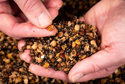 Graines Mainline Power Plus Particules Nutty Hemp & Tares 3kg -DYNAMITE BAITS 72cdefddf0297901aa24a5c328aff3eb7c0d2fd3 243280amb3