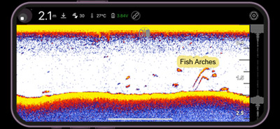 Bateau Amorceur BeeTackle Icon Edition Urban Camo Echo GPS - description 13