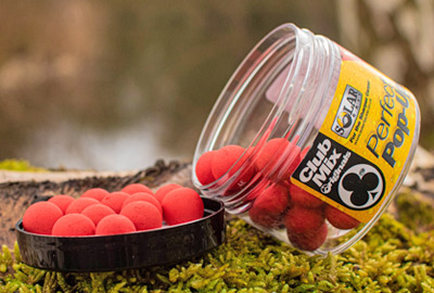 Pop Ups Solar Club Mix (Squid & Octopus) 14mm 50g 2 Pop Ups Solar Club Mix (Squid & Octopus) 14mm 50g -DYNAMITE BAITS 89ca8addaf76165a45b5629873e8e8fa5966344b 243213amb