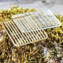 extra-carp-extra-boilies-stop-set-per-216