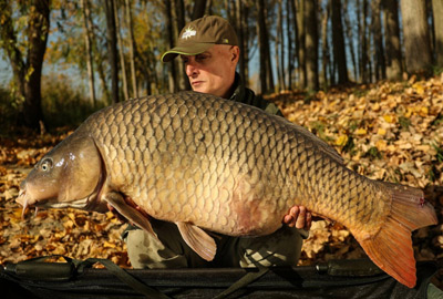 Pop Ups Dynamite Baits Hot Crab & Krill 15mm  - description 02