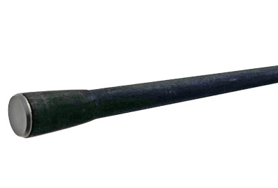 Carp