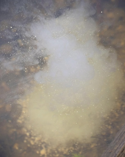 Attractant Mainline Smart Liquid Garlic 250ml - description 05