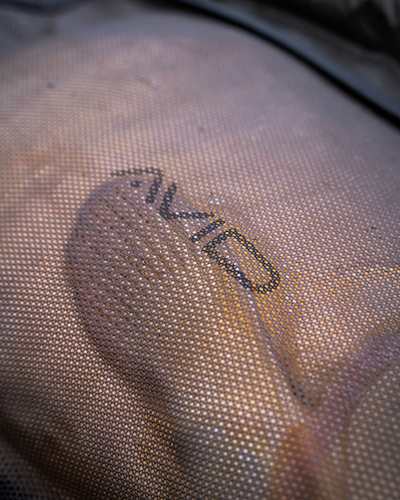 Sac