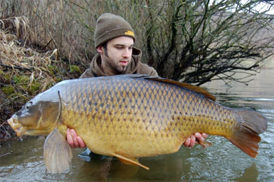 Pop Ups Starbaits Perf Concept RS1 20mm 80g 3 Pop Ups Starbaits Perf Concept RS1 20mm 80g -DYNAMITE BAITS f5076506a4f77891409a89452012ab3ab55a460e 241174b