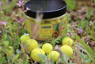 Pop Ups Radical Pineapple Zombie Neon 16/20mm 50g 3 Pop Ups Radical Pineapple Zombie Neon 16/20mm 50g -DYNAMITE BAITS fd000b1571c5c24fb2b2b0586c2a79c68c1f4e98 241024amb2