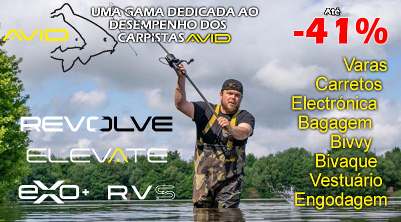 Avid Carp
