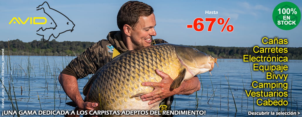 Avid Carp