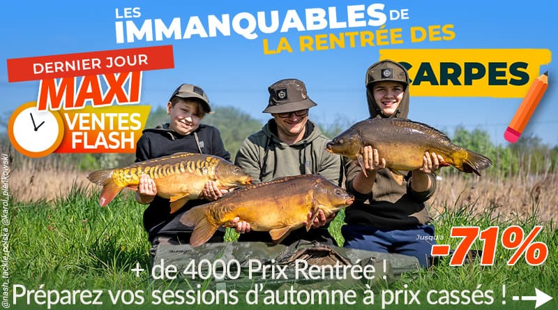 C'est la rentrée des carpes