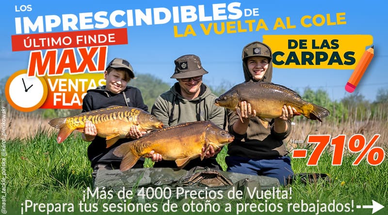 Es hora de volver al cole para las carpas.
