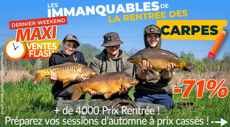 C'est la rentrée des carpes