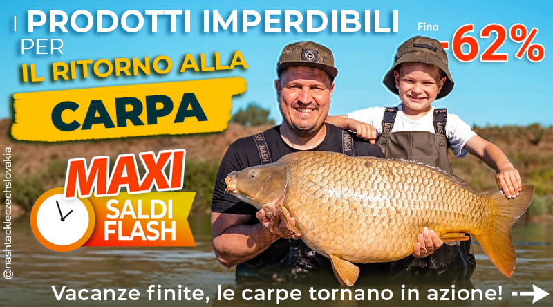 La Grande Braderie Carpe