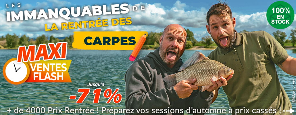 C'est la rentrée des carpes