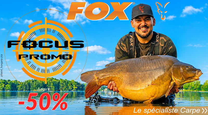 Focus Promo Fox
