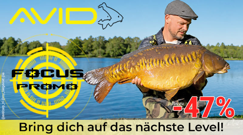 Focus Promo Avid Carp