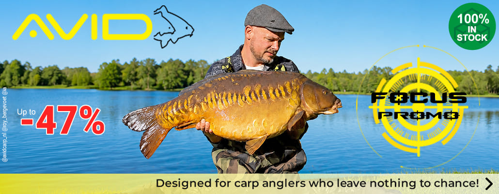 Focus Promo Avid Carp