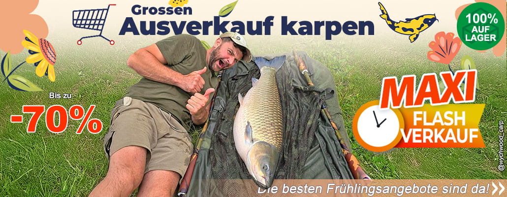 Groosen Ausverkauf karpen