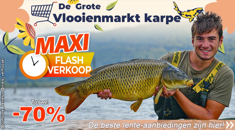 De Grote Vlooienmarkt karpe