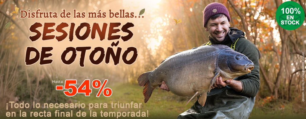 Sessions d'automne