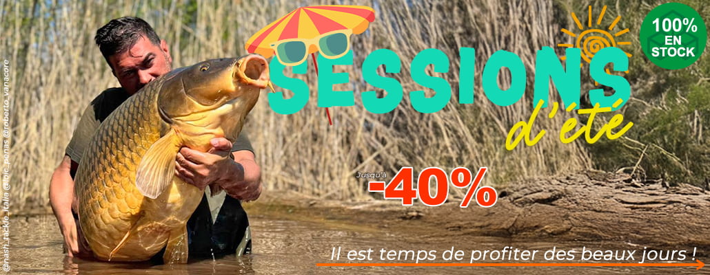 Sessions d'été